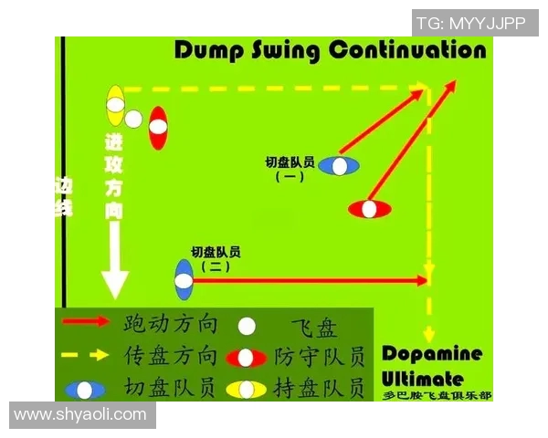 飞盘深度解析：上海飞盘队如何实现战术转换与团队协作