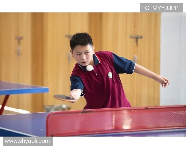 王伟独家分享乒乓球技巧与心得助你提升球技的秘诀与经验