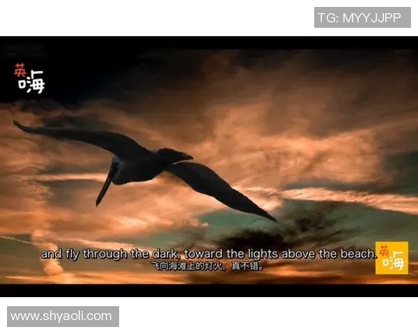 羽毛球传奇李敏的成长与挑战之路探秘