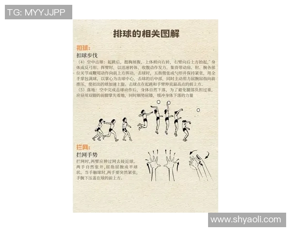 网球比赛规则解析与实战应用：从发球到计分的全面讲解